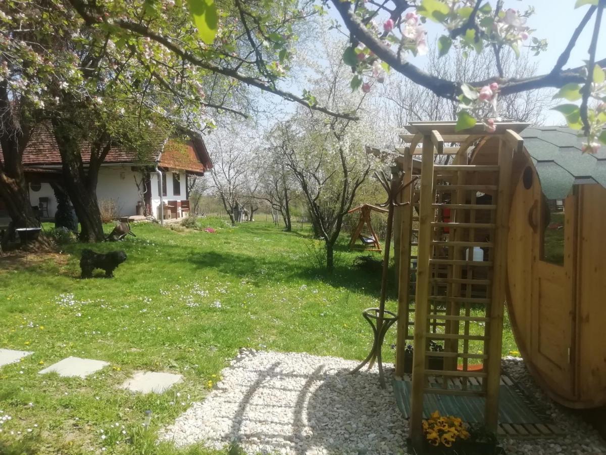 Fecskefeszek Vendeghaz Oriszentpeter Hotel Buitenkant foto