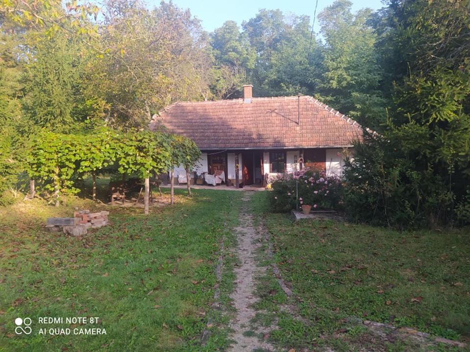 Fecskefeszek Vendeghaz Oriszentpeter Hotel Buitenkant foto