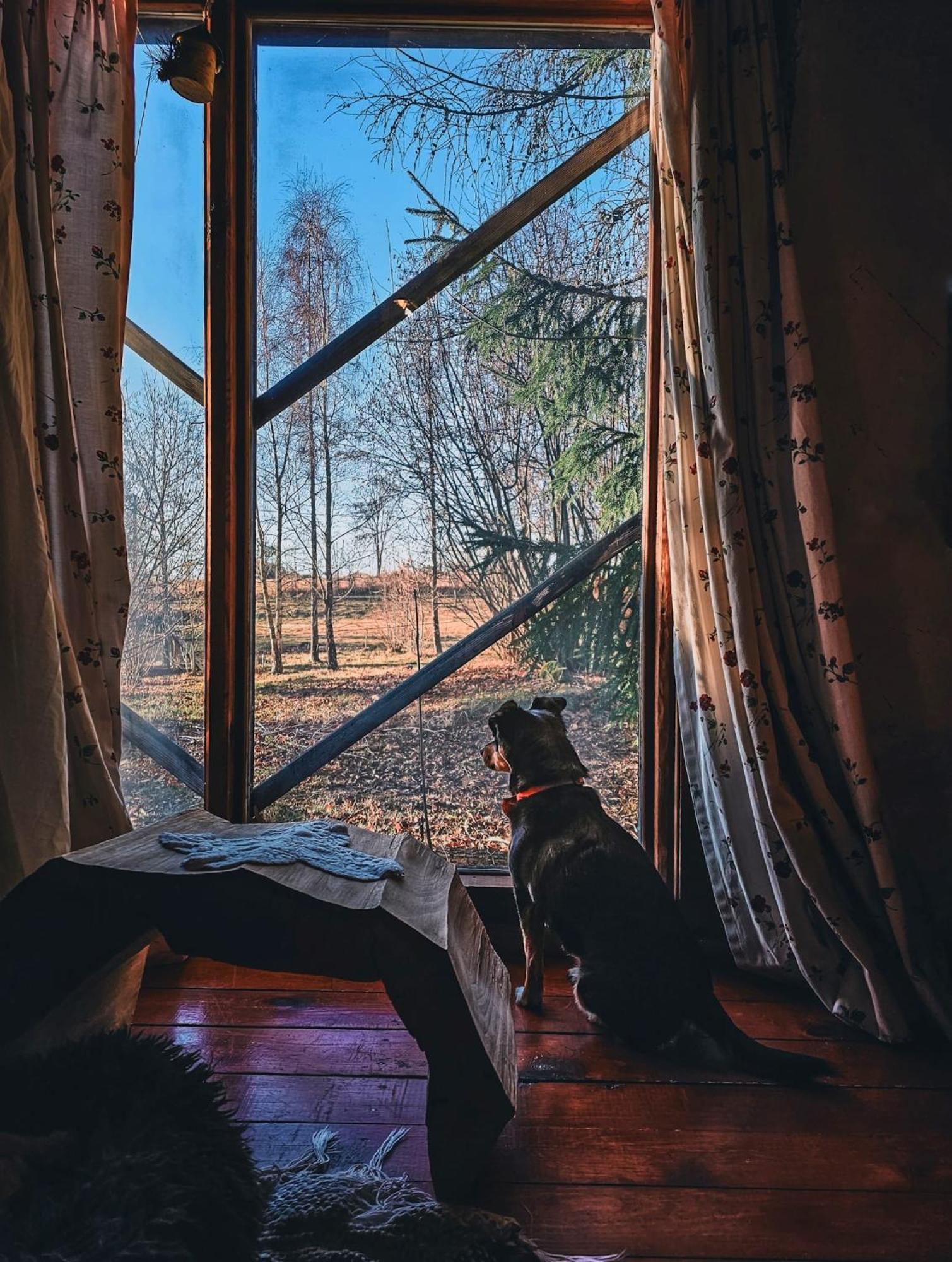Fecskefeszek Vendeghaz Oriszentpeter Hotel Buitenkant foto