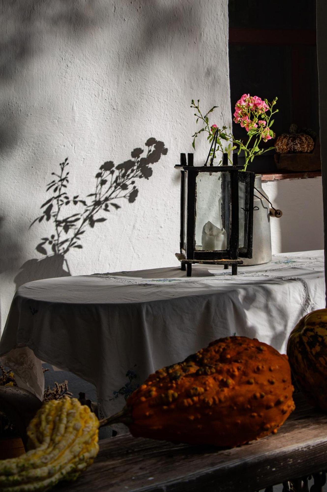 Fecskefeszek Vendeghaz Oriszentpeter Hotel Buitenkant foto