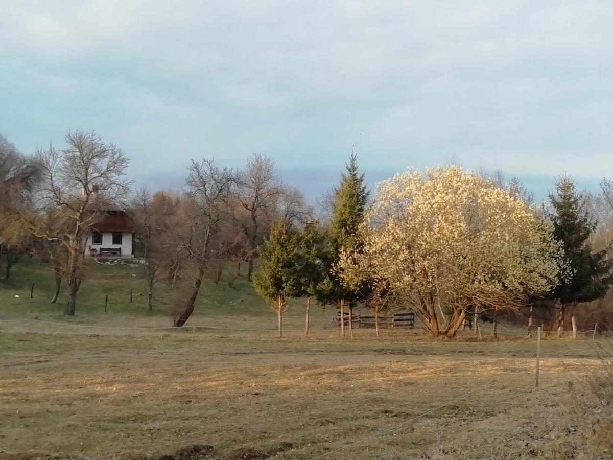 Fecskefeszek Vendeghaz Oriszentpeter Hotel Buitenkant foto