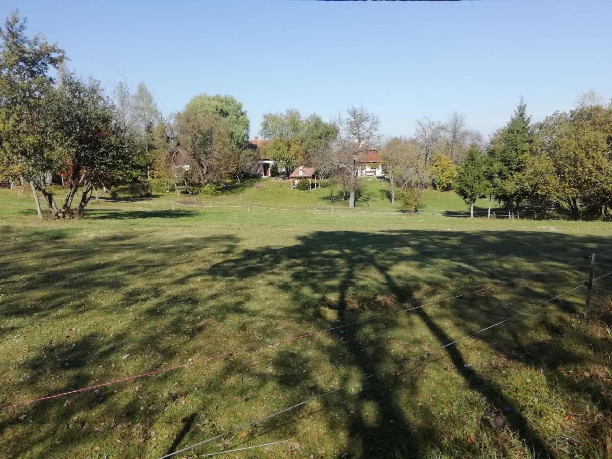 Fecskefeszek Vendeghaz Oriszentpeter Hotel Buitenkant foto