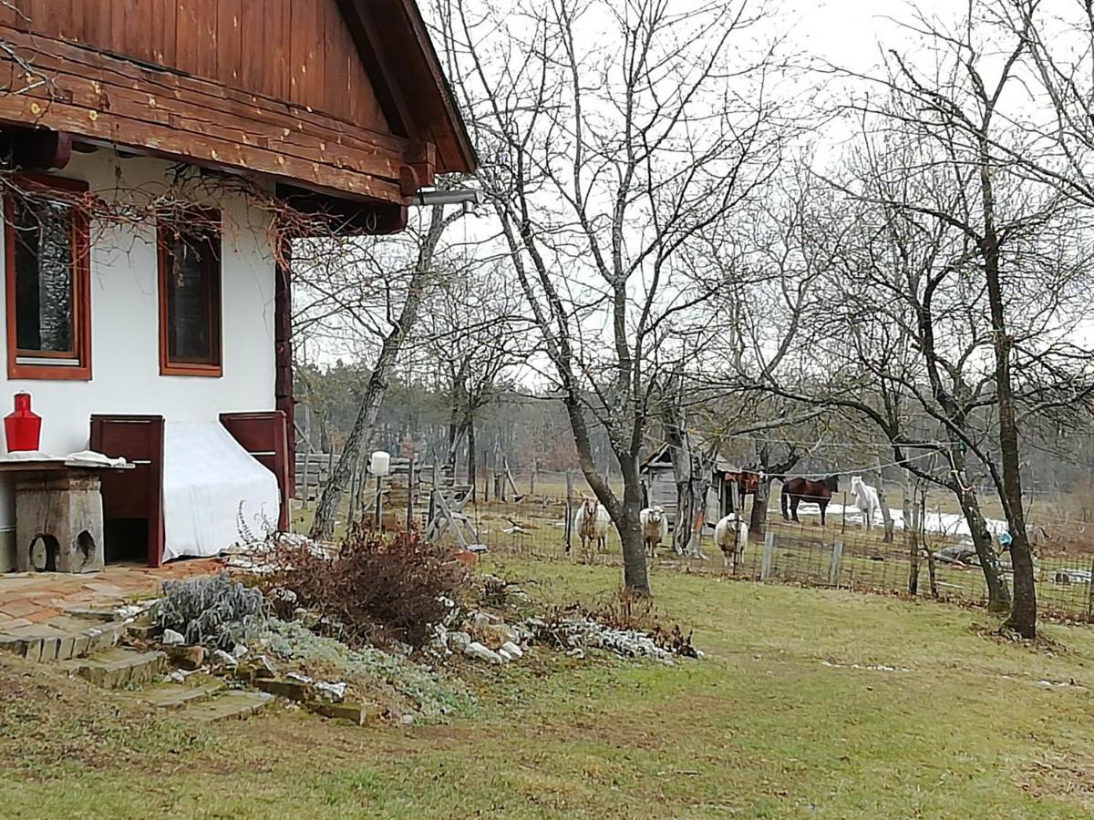 Fecskefeszek Vendeghaz Oriszentpeter Hotel Buitenkant foto